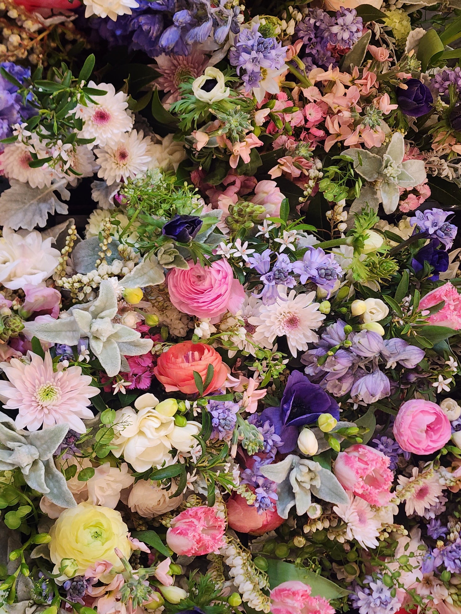 Most Popular Flowers