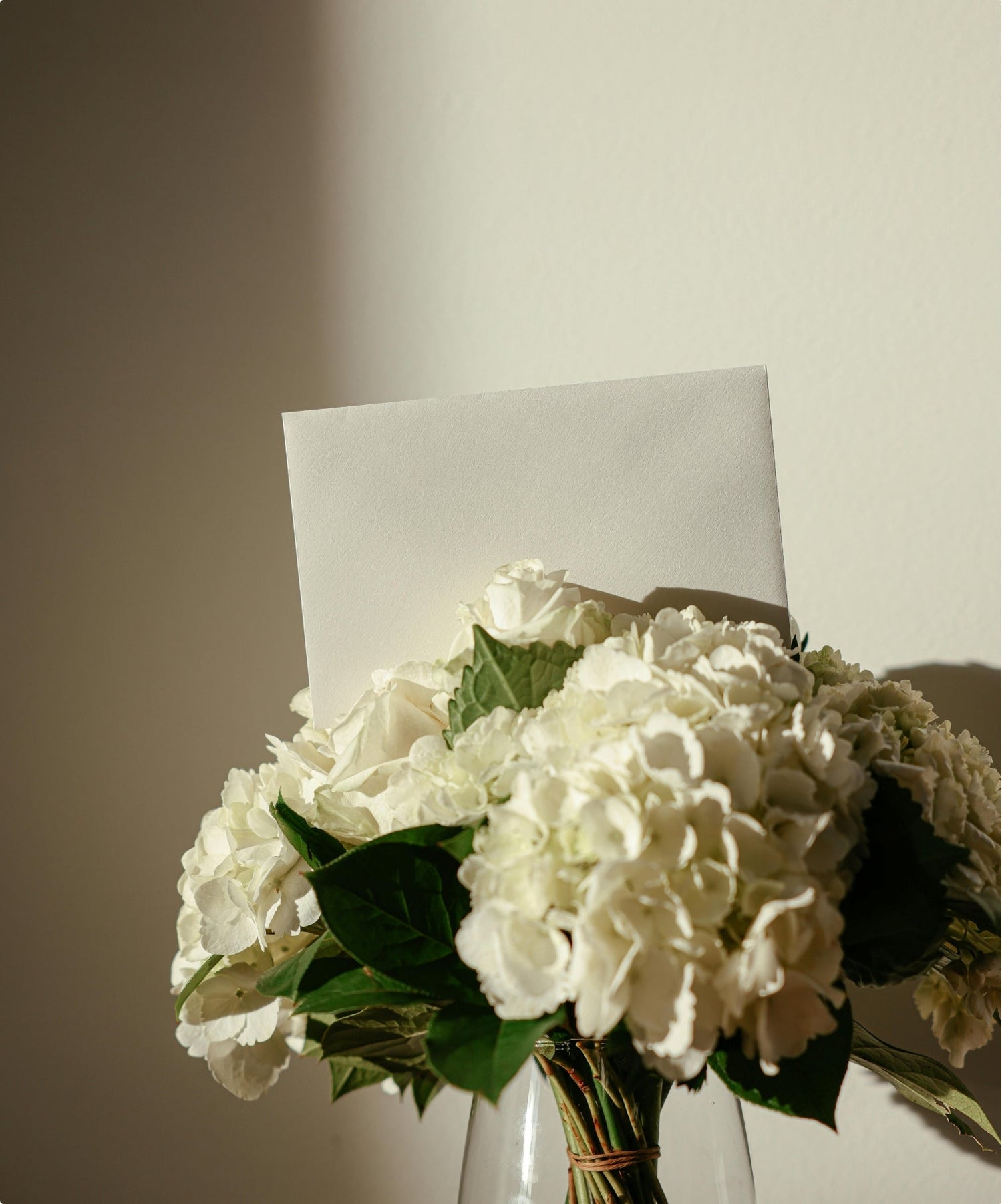 Plants and Gifts