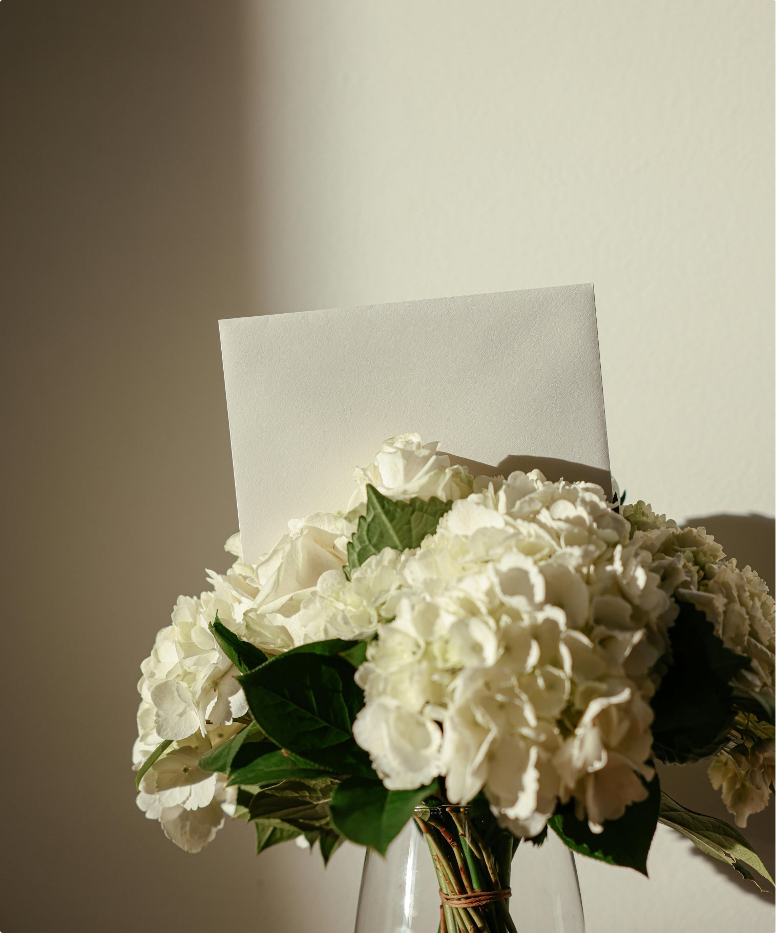 Plants and Gifts