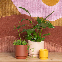 Load image into Gallery viewer, Pots and Planters