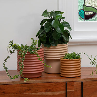 Pots and Planters