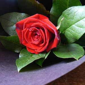 Single Rose