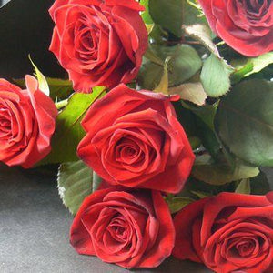 Six Red Roses Gift Wrapped