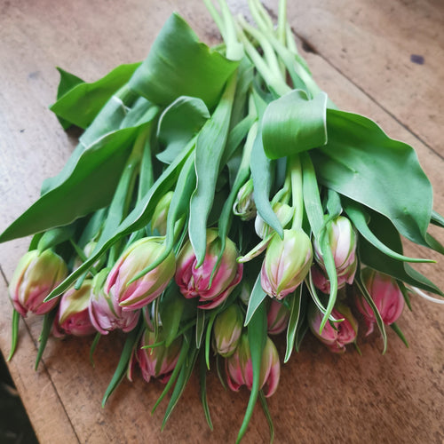Totally Tulips Bouquet