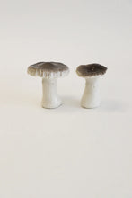 Load image into Gallery viewer, Russula Mushrooms